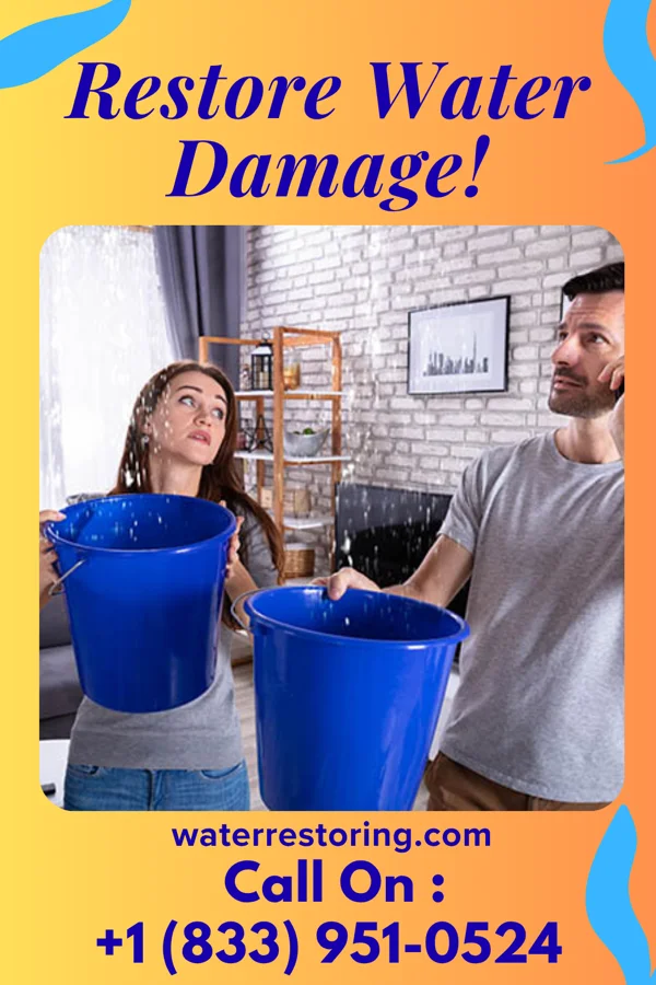 water restoration Western Flood Damage Network Sumner