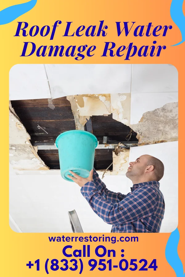 Roof Leak Water Damage Repair in Sumner, NE